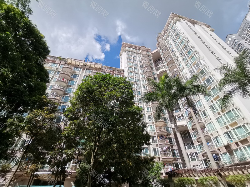 深圳星海名城二期小区信息图片2