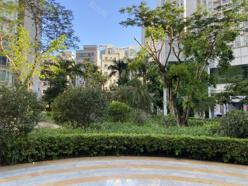 深圳皇庭世纪小区信息图片12