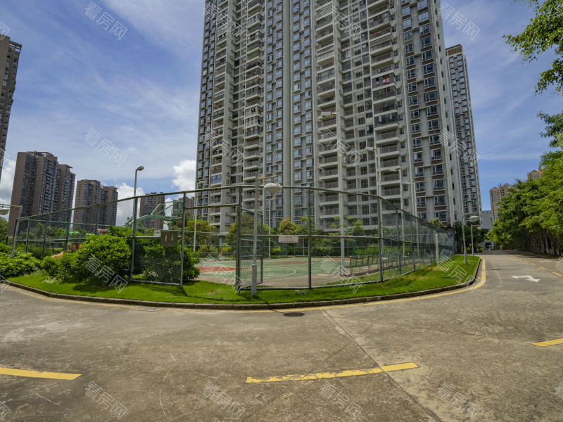 深圳坝光新村一区小区信息图片9