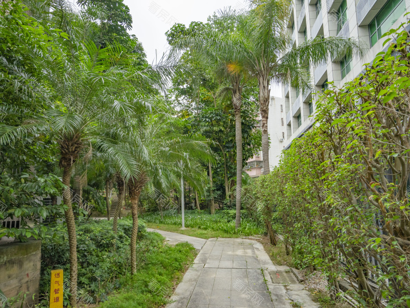 珠海城市印象小区信息图片13