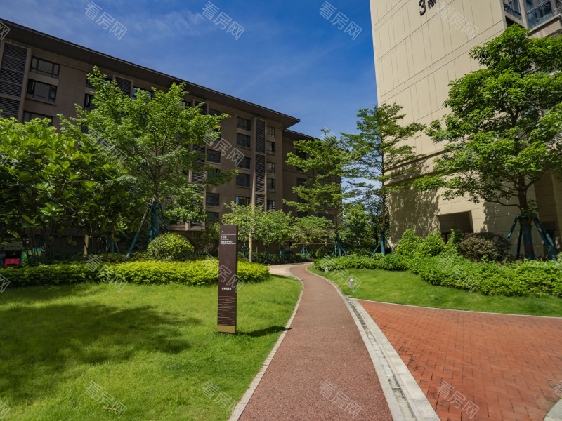 深圳保利香槟苑小区信息图片8