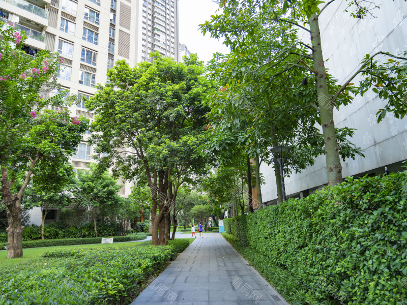 深圳华润城润府一期小区信息图片7