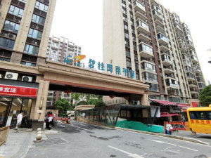 郴州碧桂园南平府小区信息图片