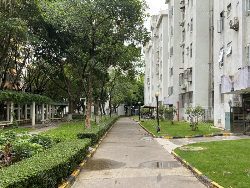 深圳福华新村小区信息图片8