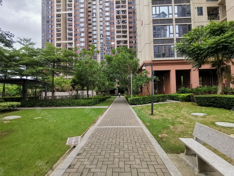 深圳东城国际小区信息图片6