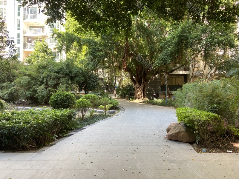 深圳蔚蓝海岸二期小区信息图片4