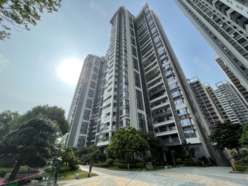 中山华盈爱琴湾小区信息图片14