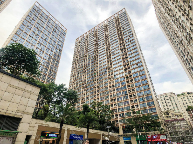 深圳财富港小区信息图片3