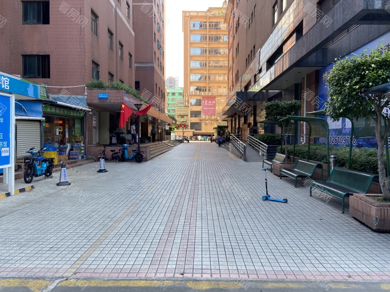 深圳金丽豪苑小区信息图片3