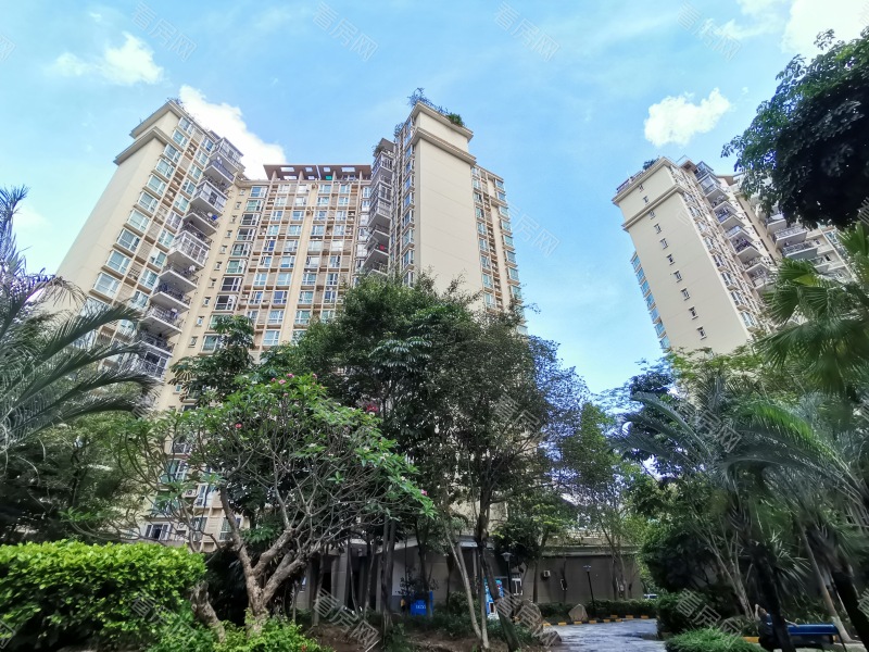 深圳星海名城三期小区信息图片9