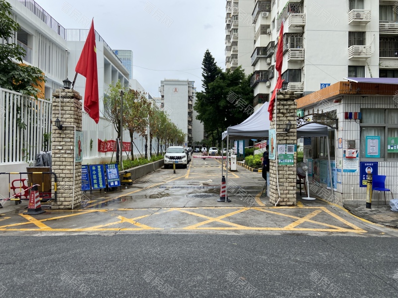 深圳皇洲花园小区信息图片3