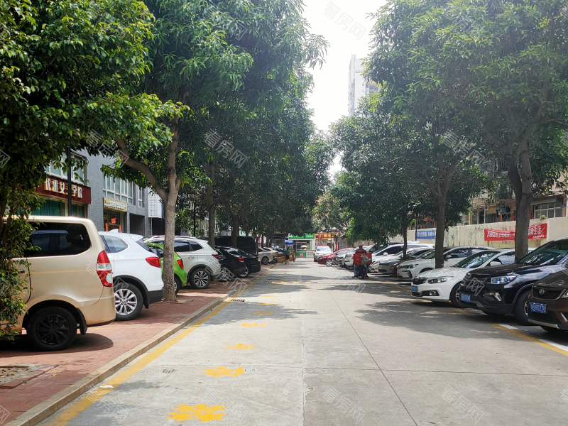 深圳金色年华家园小区信息图片2