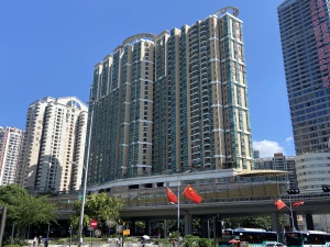 深圳新银座大厦小区信息图片