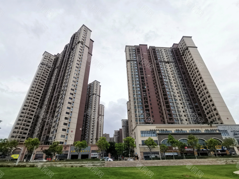 深圳东城国际小区信息图片2