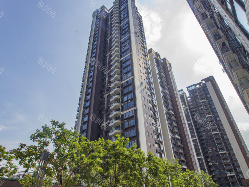 佛山滨江名门小区信息图片3