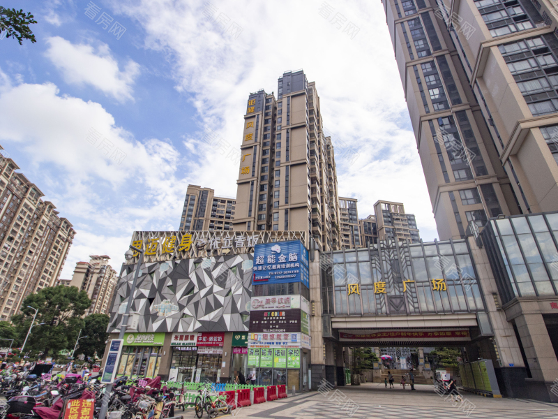 佛山风度广场(乐从)小区信息图片1