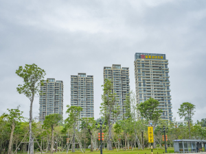 城市东岸