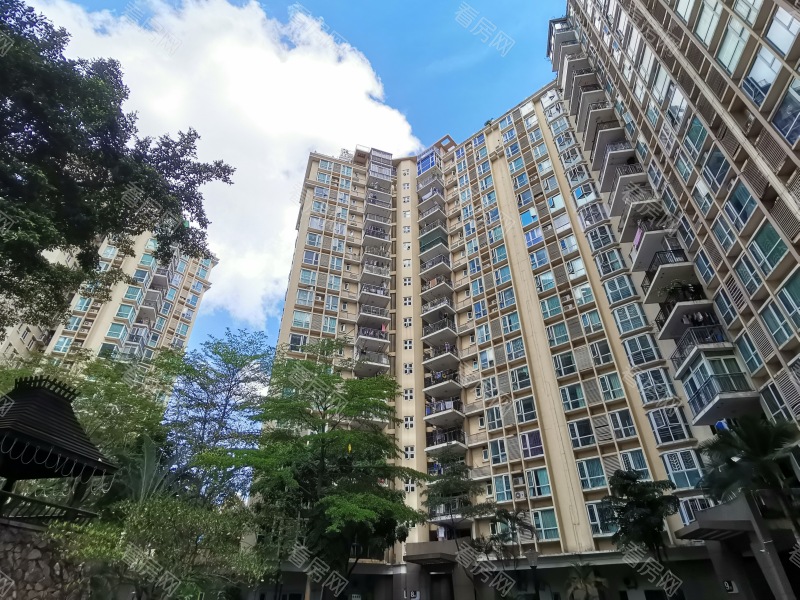 深圳星海名城三期小区信息图片3