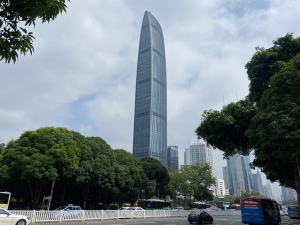 深圳京基100小区信息图片