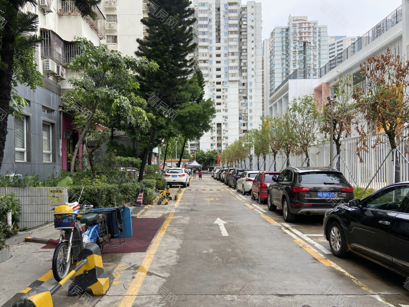 深圳皇洲花园小区信息图片4