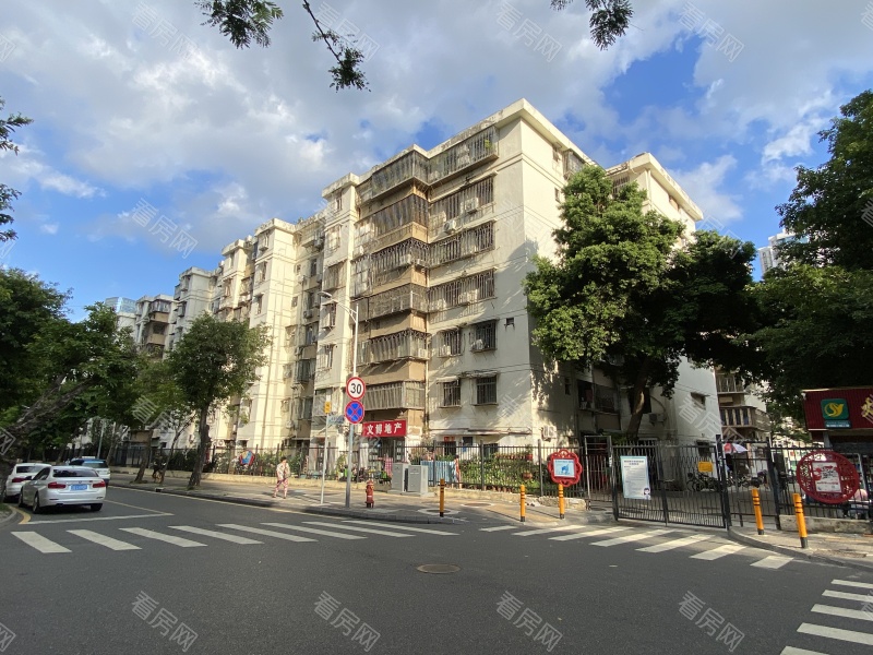 深圳园岭新村小区信息图片7