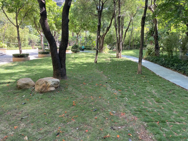 深圳依云伴山小区信息图片5