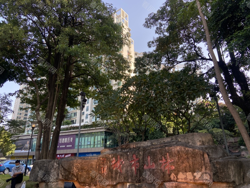 深圳城市山林一期小区信息图片5