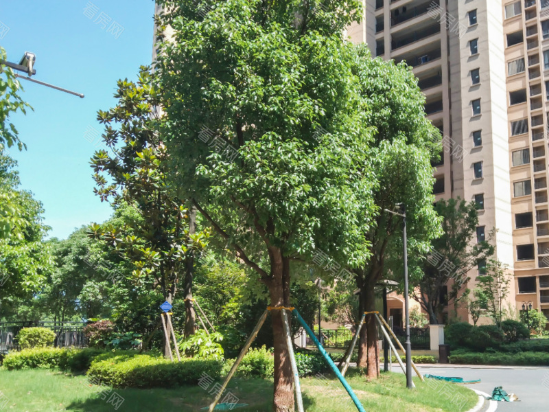 郴州金科城小区信息图片6