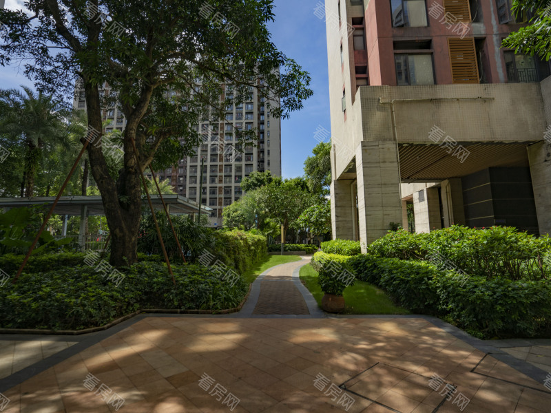 深圳金域东郡小区信息图片10