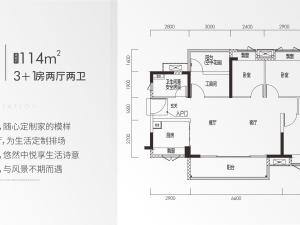保利碧桂园学府里二区3室2厅2卫户型图1