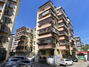 深圳虹桥小区小区信息图片