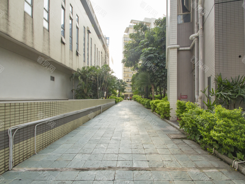 佛山锦城花园小区信息图片5