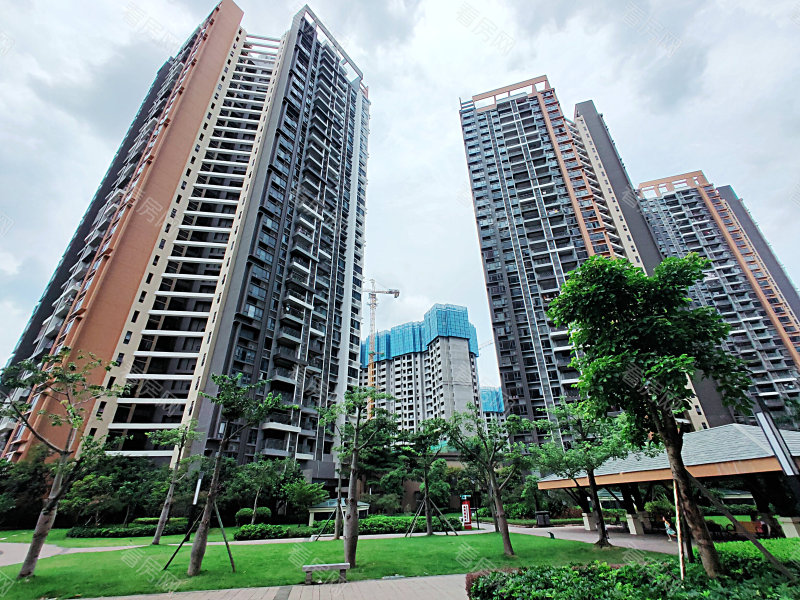 中山雅居乐万象郡一期小区信息图片6