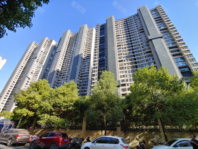 赣州云星公园大观小区信息图片11