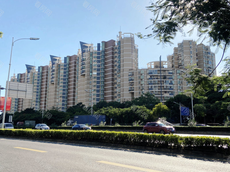 深圳金石雅苑小区信息图片20