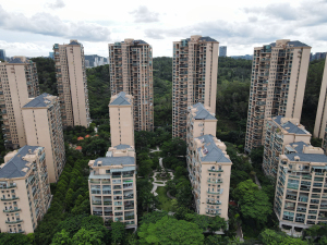 深圳公园大地一期小区信息图片