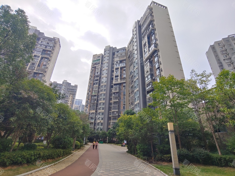 赣州中央城一期(章贡区)小区信息图片9