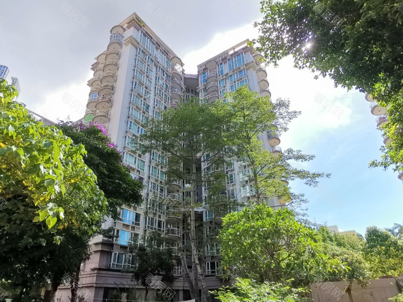 深圳星海名城二期小区信息图片8