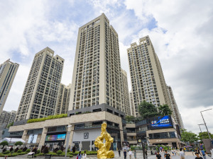 深圳岗厦城小区信息图片