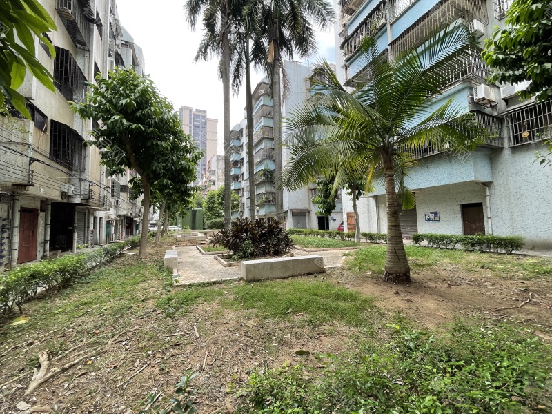 中山岐江苑小区信息图片5