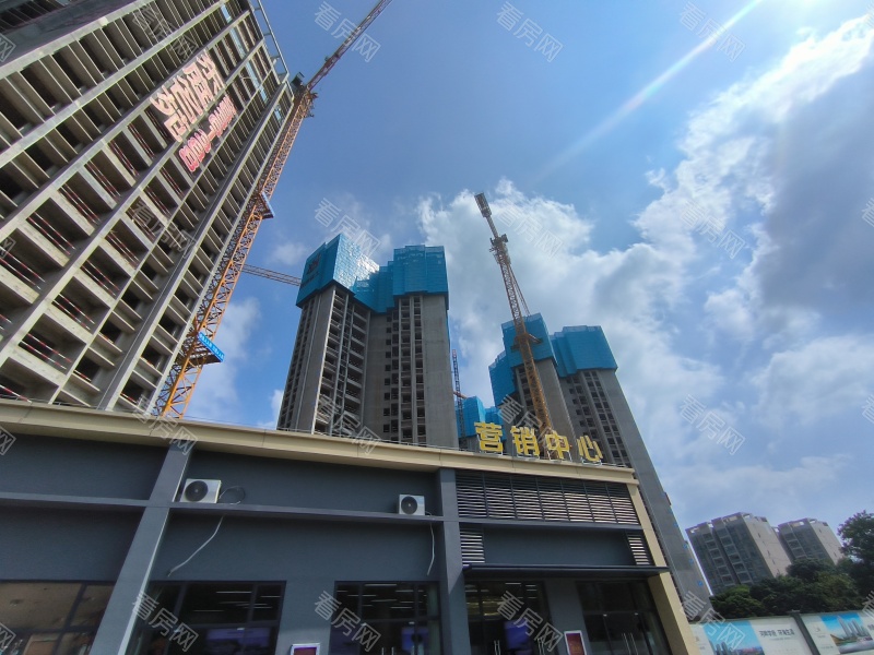 深圳东庭名苑新房楼盘图片图片4