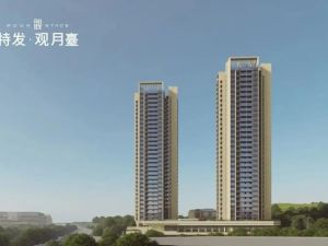 深圳特发观月台新房楼盘图片