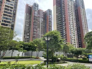 深圳莅林公园华府新房楼盘图片