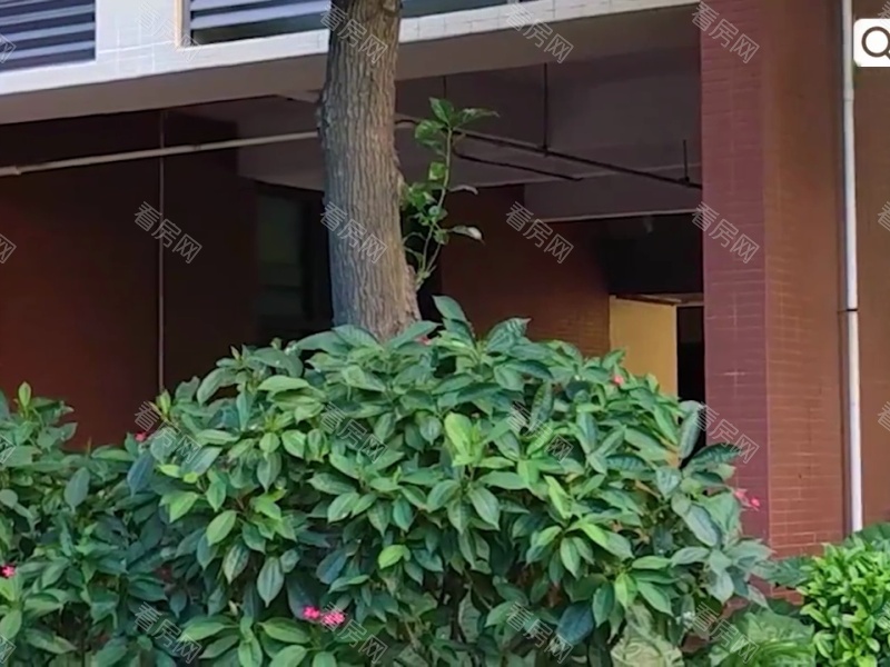 深圳怀德公元小区信息图片15