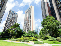 深圳大学区改革落地！未来3年，80个优质教育集团崛起！_百科图片