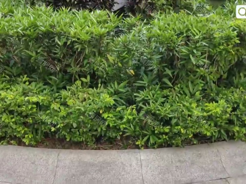 深圳星航华府小区信息图片12