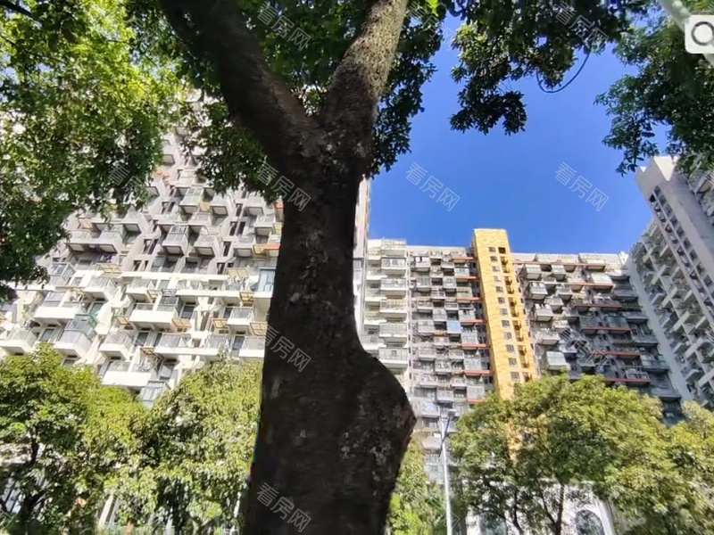 深圳花样年花乡小区信息图片3