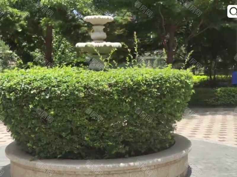 深圳金域豪庭二期小区信息图片22