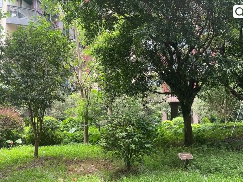 深圳信义嘉御山小区信息图片24