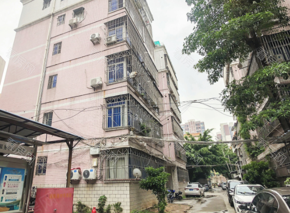 636套!深圳首个棚改项目建成入伙_图片1